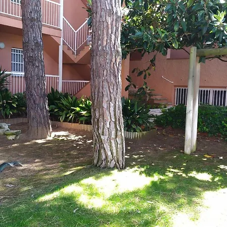 Bonito Apartamento, Con Piscina, Excelente Wifi Y Aire Acondicionado Apartment Pals